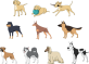 animals-1454214_640.png